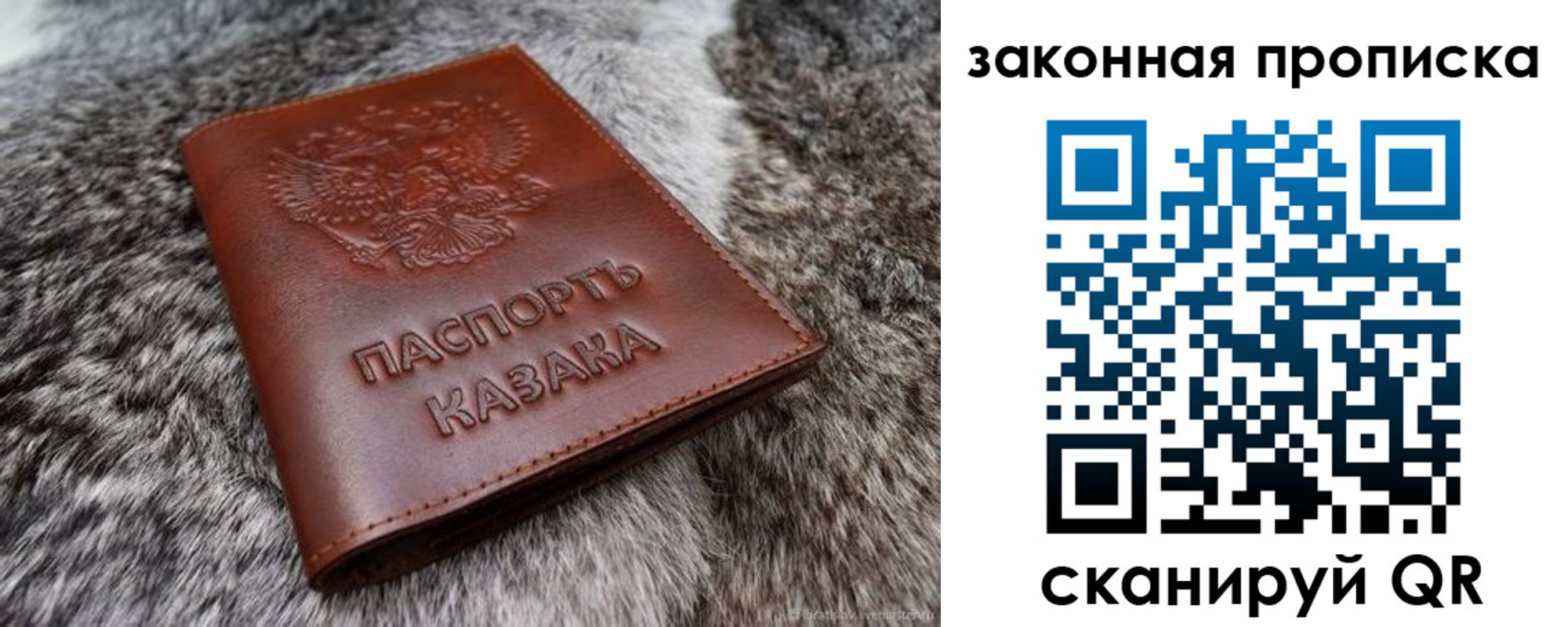 прописка в Жердевке